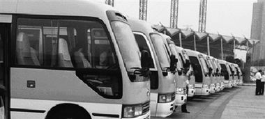 济南赏花游火爆带动汽车租赁市场升温