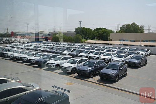 丝路花正开 阿联酋丨四川整车闯中东汽车租赁市场