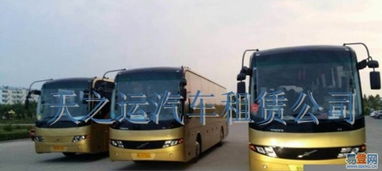 哈尔滨天之运租车公司 道里新阳路易登网汽车租赁服务介绍